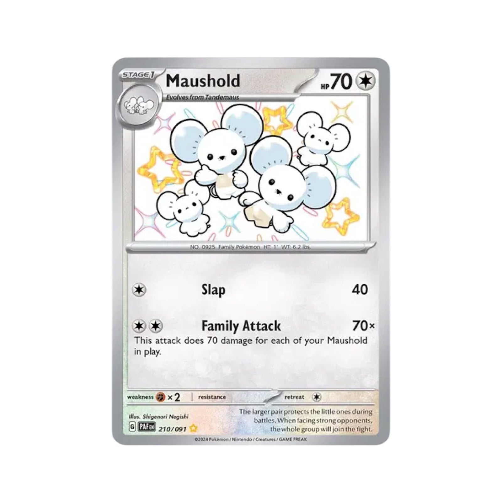 Maushold 210/091