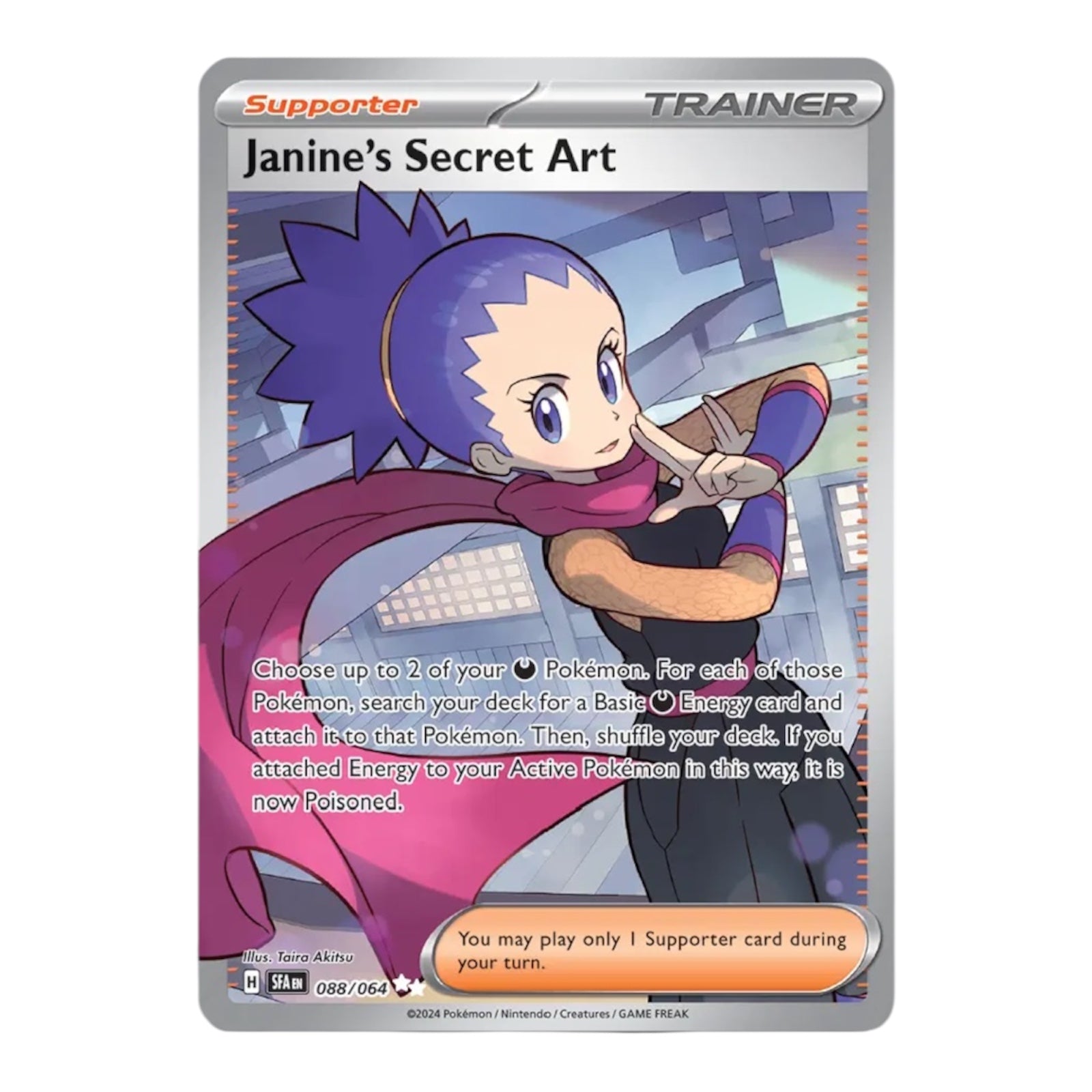 Janine's Secret Art 088/064